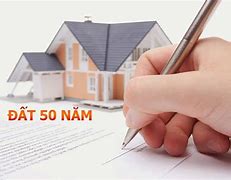 Đất Dịch Vụ 50 Năm Là Gì