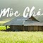 Đi Mộc Châu