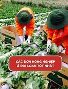 Đơn Hàng Nông Nghiệp Đài Loan 2022 Pdf