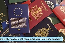 Hộ Chiếu Hết Hạn Visa Còn Hạn Hàn Quốc