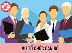 Vụ Trưởng Vụ Tổ Chức Cán Bộ Tổng Cục Thuế