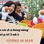 Xkld Mỹ 2022 Lương Cao Không Vì Sao Ạ Tiếng Anh Là Gì Dịch